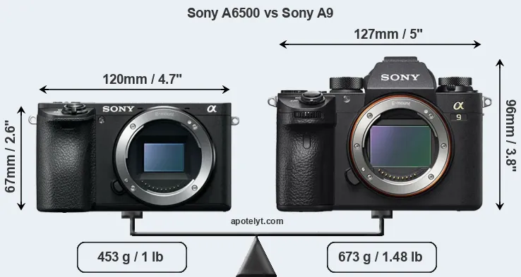 Size Sony A6500 vs Sony A9