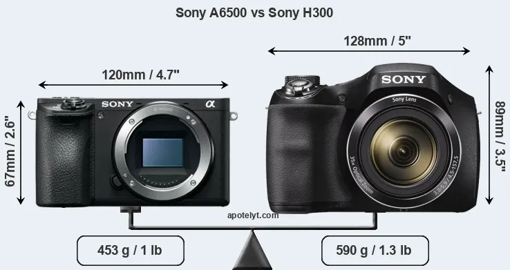 Size Sony A6500 vs Sony H300