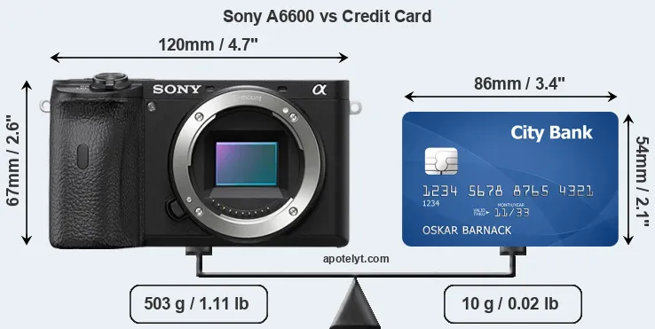 Sony A6600 vs credit card front