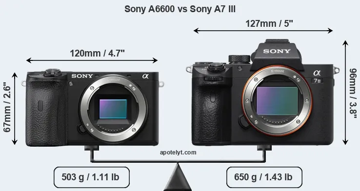 Size Sony A6600 vs Sony A7 III