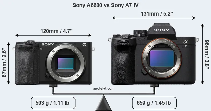 Size Sony A6600 vs Sony A7 IV