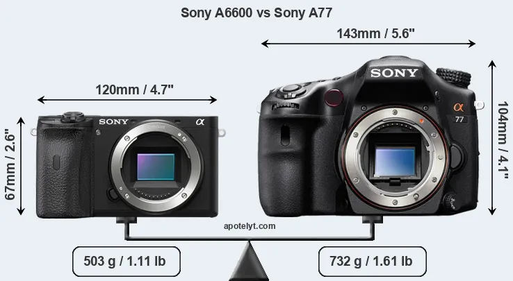 Size Sony A6600 vs Sony A77