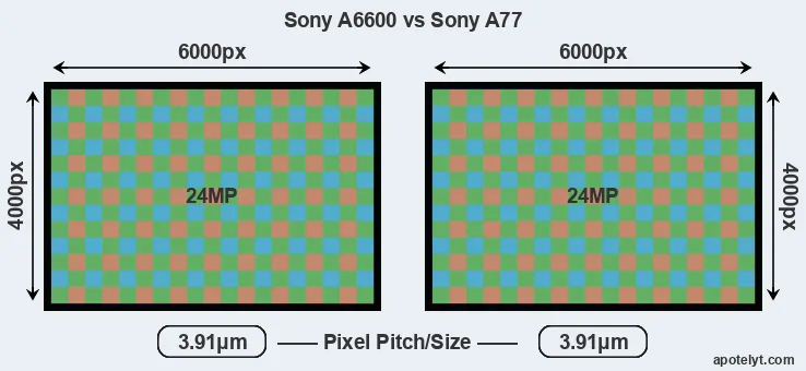 A6600 versus A77 MP
