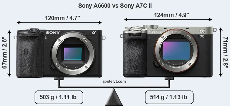 Size Sony A6600 vs Sony A7C II