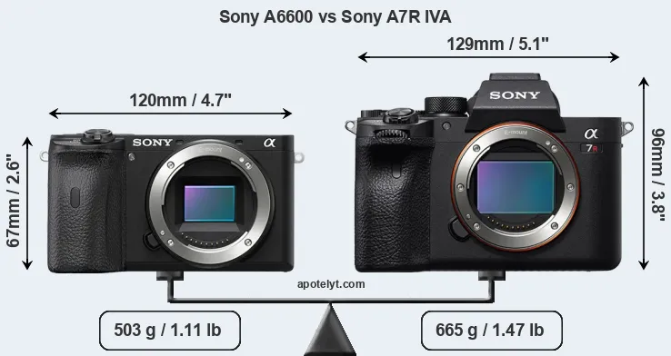 Size Sony A6600 vs Sony A7R IVA