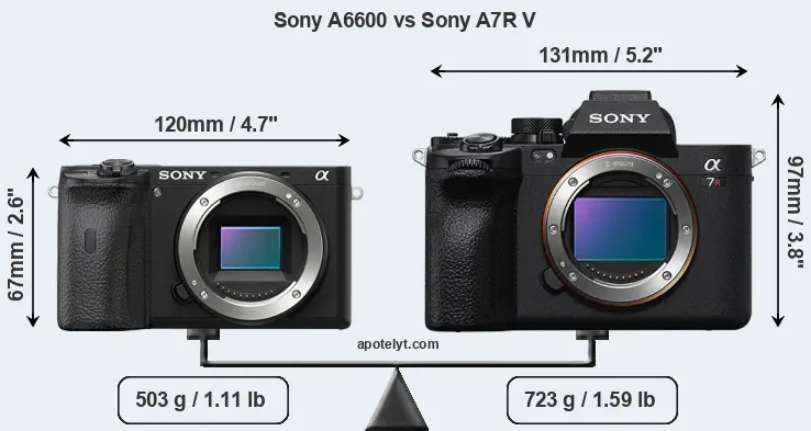 Size Sony A6600 vs Sony A7R V