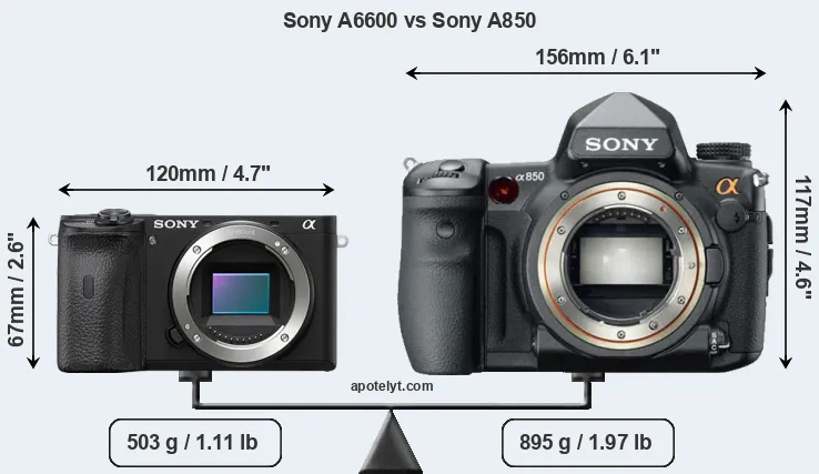 Size Sony A6600 vs Sony A850