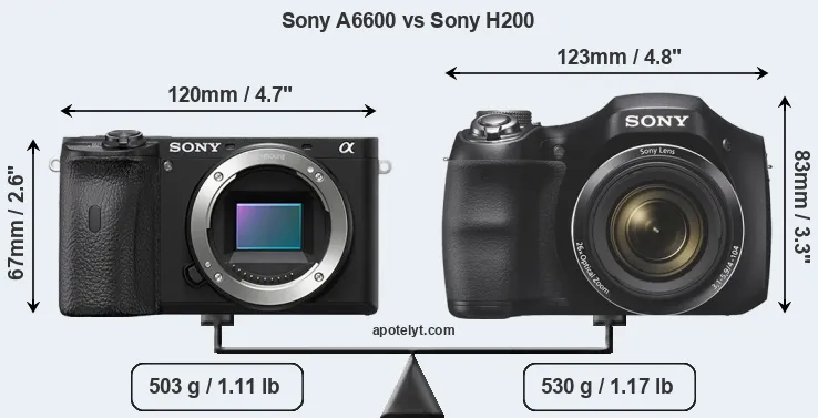 Size Sony A6600 vs Sony H200