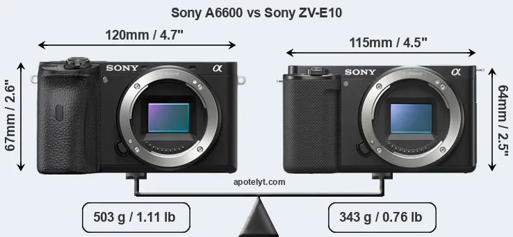 Size Sony A6600 vs Sony ZV-E10