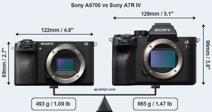 Size Sony A6700 vs Sony A7R IV