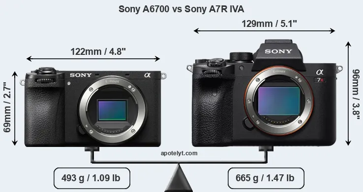 Size Sony A6700 vs Sony A7R IVA