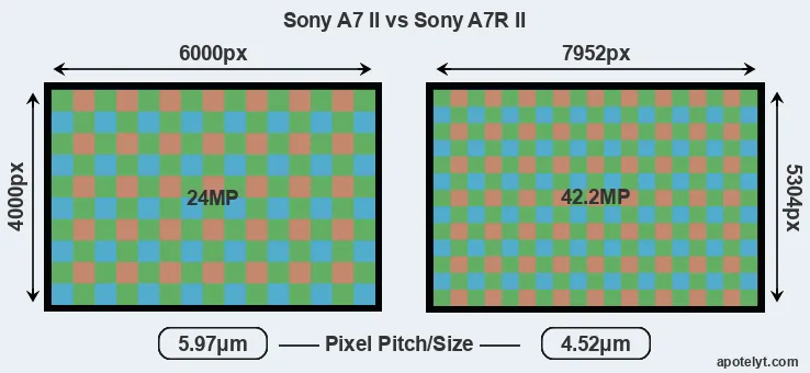 A7 II versus A7R II MP