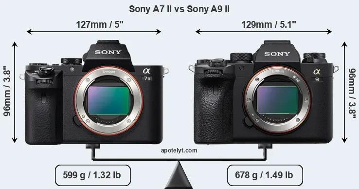 Size Sony A7 II vs Sony A9 II