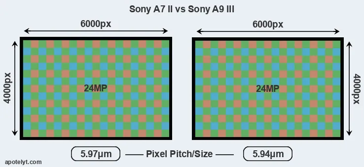 A7 II versus A9 III MP