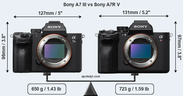 Size Sony A7 III vs Sony A7R V