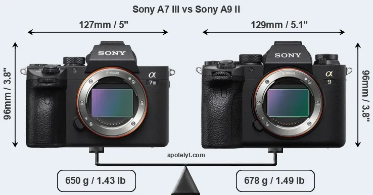 Size Sony A7 III vs Sony A9 II