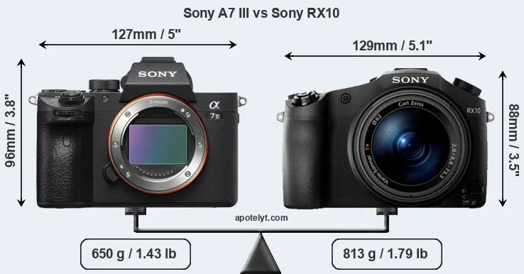 Size Sony A7 III vs Sony RX10