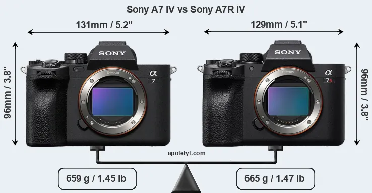 Size Sony A7 IV vs Sony A7R IV