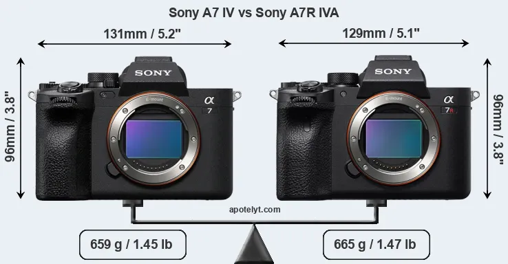 Size Sony A7 IV vs Sony A7R IVA