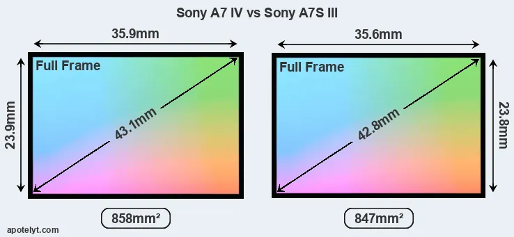 Sony A7 IV and Sony A7S III sensor measures
