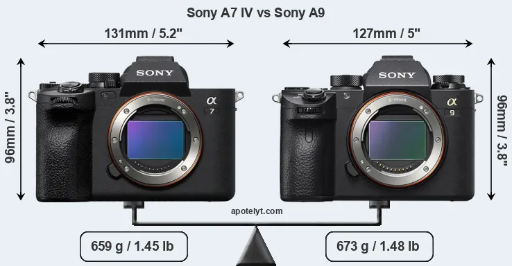 Size Sony A7 IV vs Sony A9