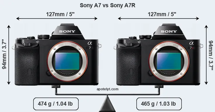 Size Sony A7 vs Sony A7R