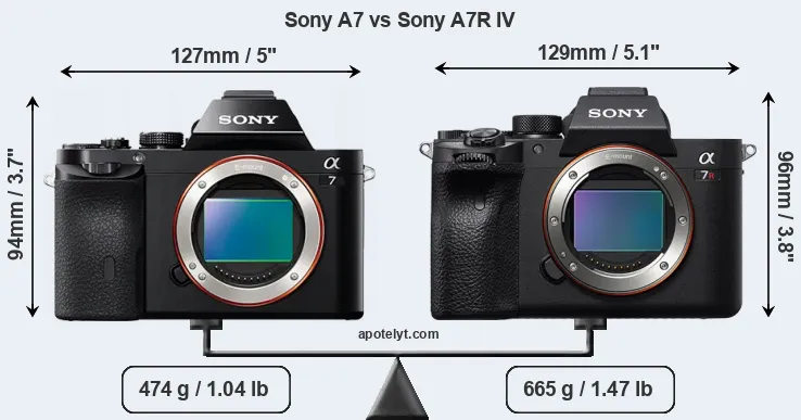 Size Sony A7 vs Sony A7R IV