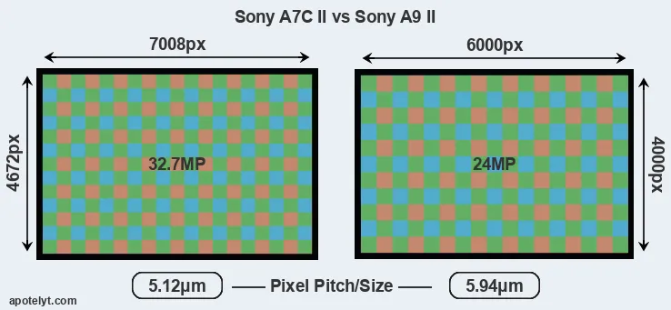 A7C II versus A9 II MP