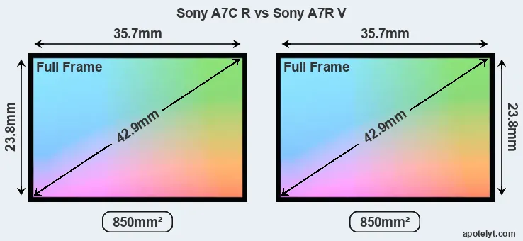 Sony A7C R and Sony A7R V sensor measures