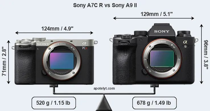 Size Sony A7C R vs Sony A9 II