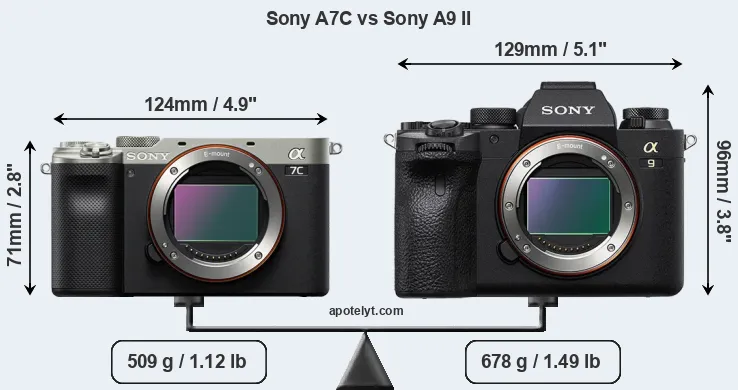 Size Sony A7C vs Sony A9 II