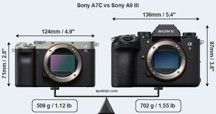 Size Sony A7C vs Sony A9 III