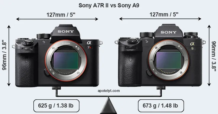 Size Sony A7R II vs Sony A9