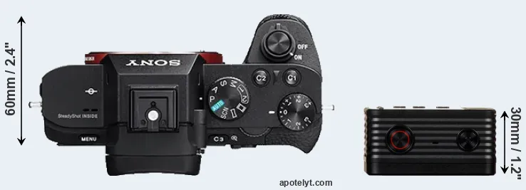 Compare A7R II versus RX0 top