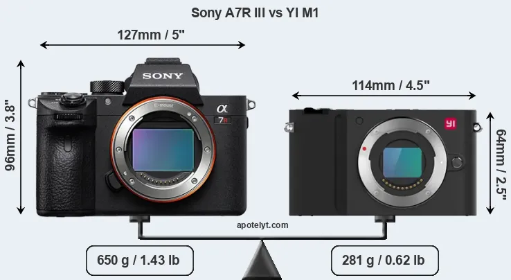 Size Sony A7R III vs YI M1