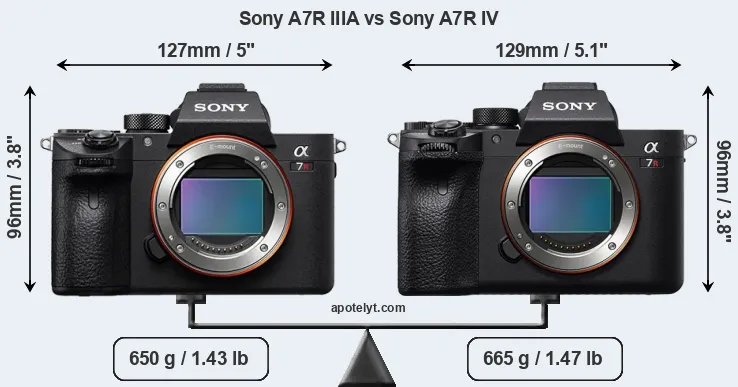 Size Sony A7R IIIA vs Sony A7R IV