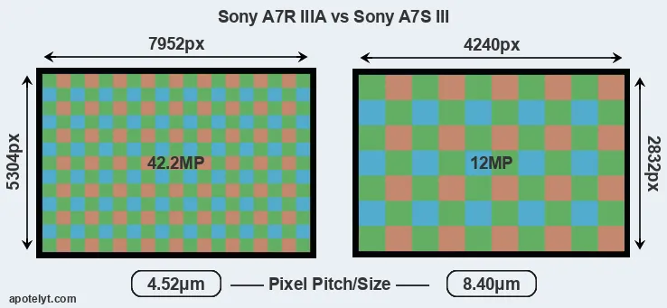 A7R IIIA versus A7S III MP