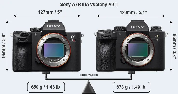 Size Sony A7R IIIA vs Sony A9 II