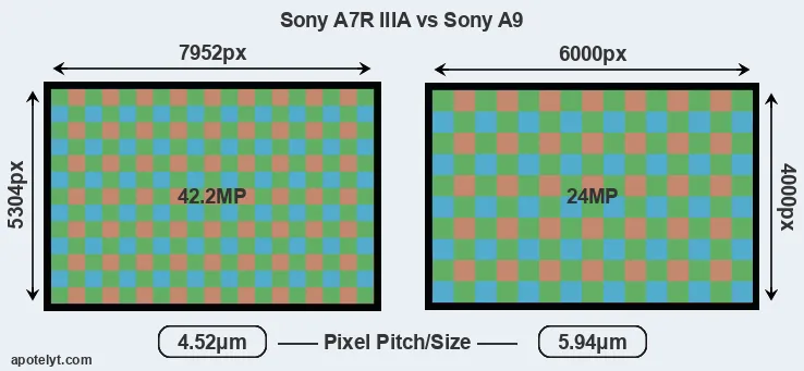 A7R IIIA versus A9 MP