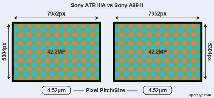 A7R IIIA versus A99 II MP
