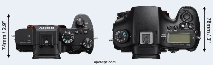 Compare A7R IIIA versus A99 II top