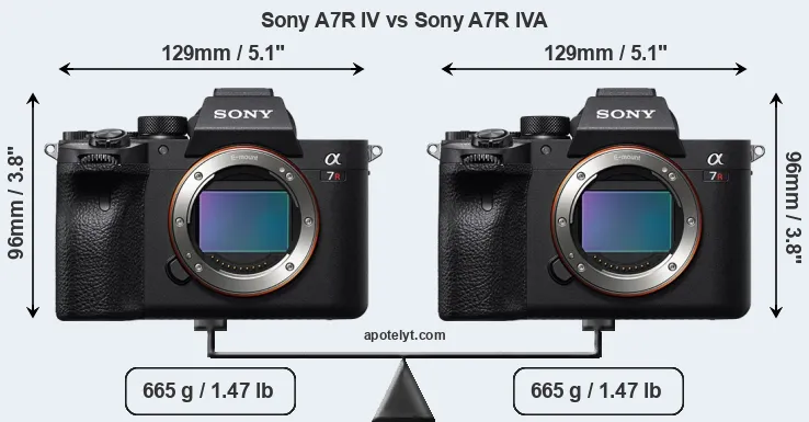 Size Sony A7R IV vs Sony A7R IVA
