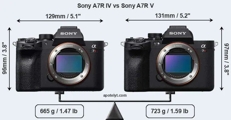 Size Sony A7R IV vs Sony A7R V