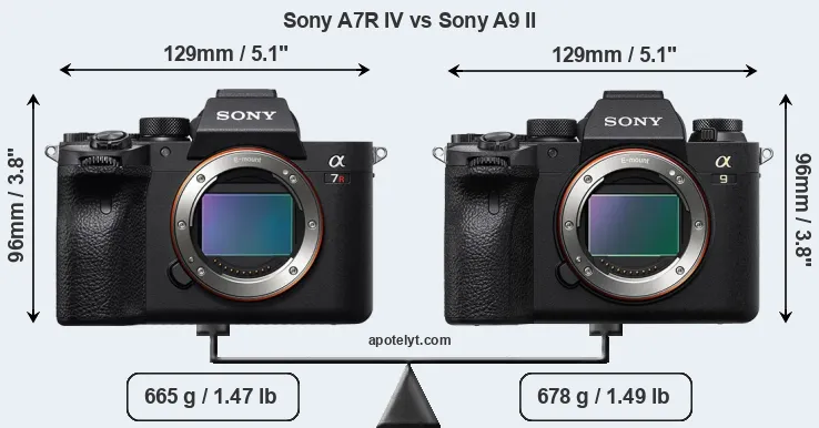 Size Sony A7R IV vs Sony A9 II