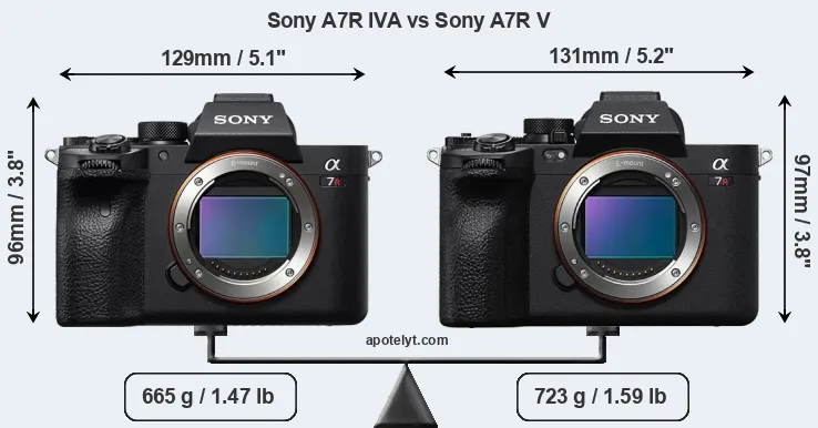 Size Sony A7R IVA vs Sony A7R V