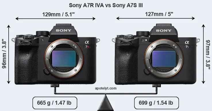 Size Sony A7R IVA vs Sony A7S III
