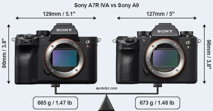 Size Sony A7R IVA vs Sony A9