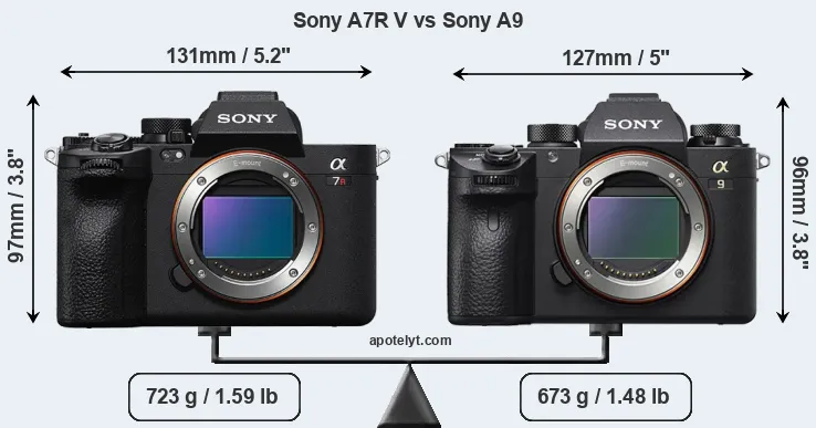 Size Sony A7R V vs Sony A9