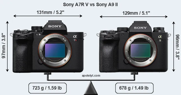 Size Sony A7R V vs Sony A9 II