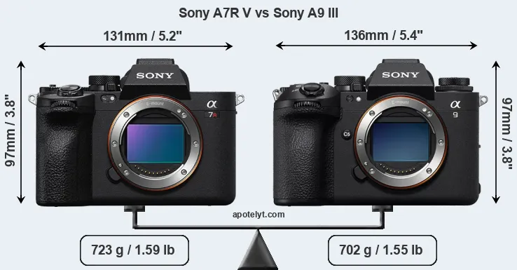 Size Sony A7R V vs Sony A9 III